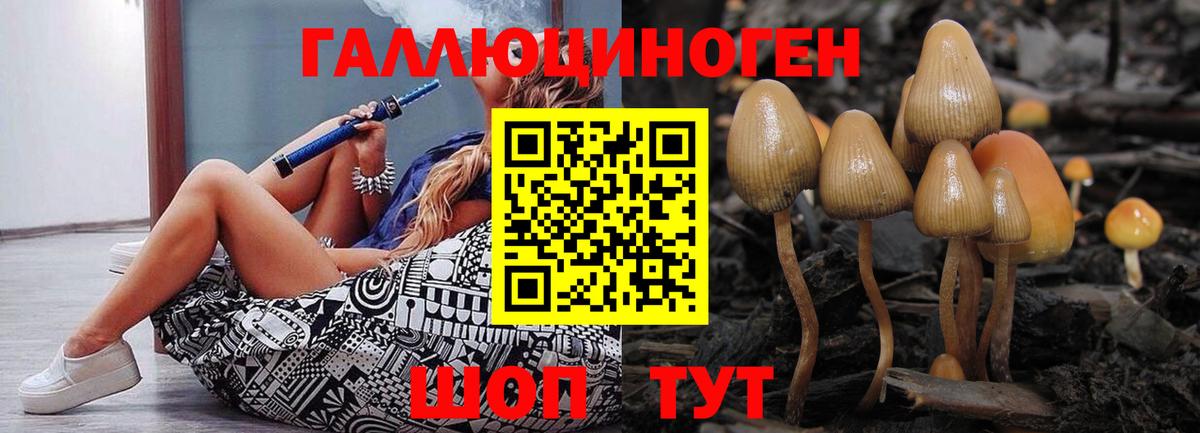 купить наркотики цена  Псилоцибиновые грибы MAGIC MUSHROOMS  Вход с VPN  Галлюциногенные грибы GOLDEN TEACHER  Тихорецк 