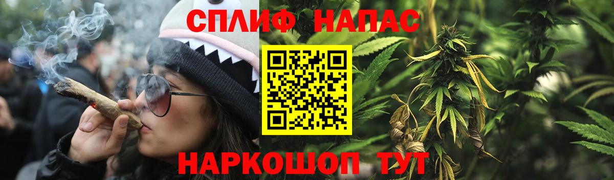 Тихорецк  Конопля Amnesia  Вход с VPN  Канабис OG Kush 